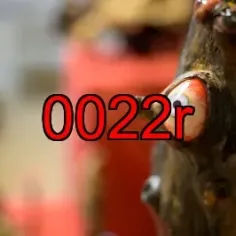 0022r