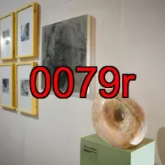 0079r