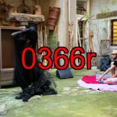 0366r