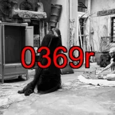 0369r