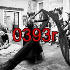 0393r