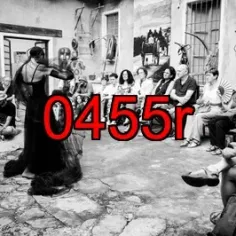 0455r