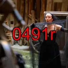 0491r