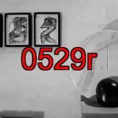 0529r