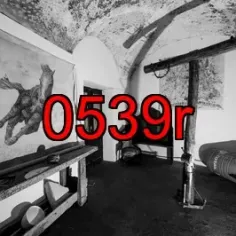0539r