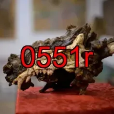 0551r