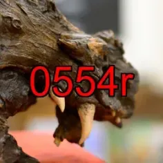 0554r